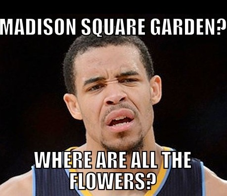 麦迪逊广场花园?花园里怎么没花