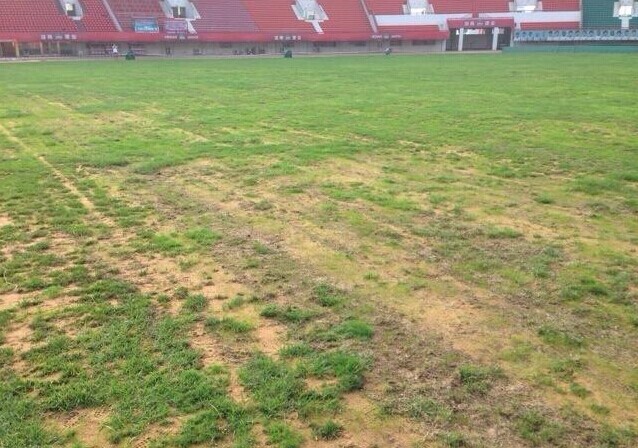 富力球员吐槽建业主场:就没见过这样的场地