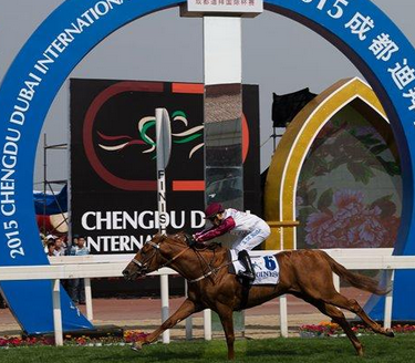 阿联酋赛马华丽登场 成都温江速度赛上演_虎扑