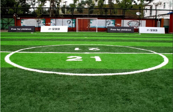 高雷雷携手长江商学院 第九座公益球场落成_虎