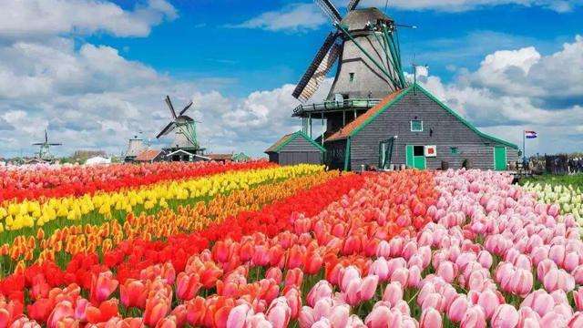 人民日报:荷兰并不是改名,而是将采用新的国家徽标