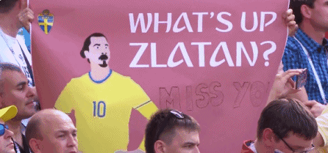 GIF:瑞典球迷打出标语怀念伊布--想念你