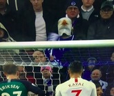 硬核！布莱顿球迷戴海鸥头套看球