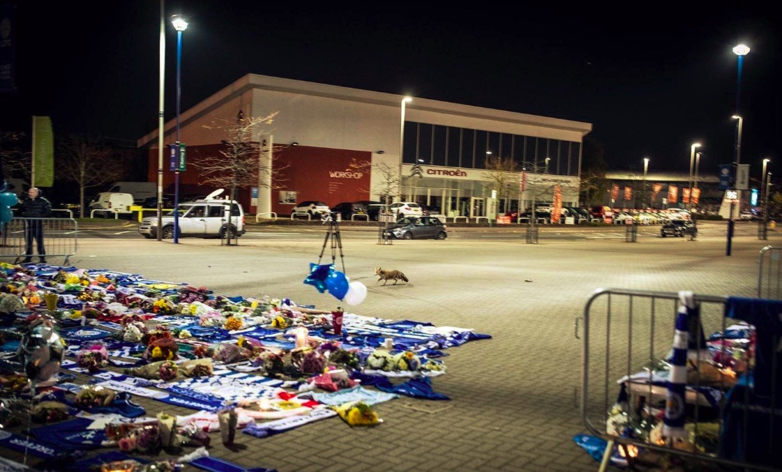 维猜悼念现场现小狐狸，球迷：他永远会和我们在一起