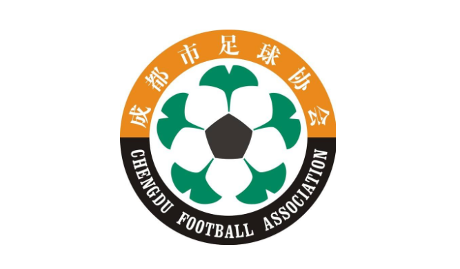 成都足协回应观众打裁判：未造成人员伤害，将追究责任