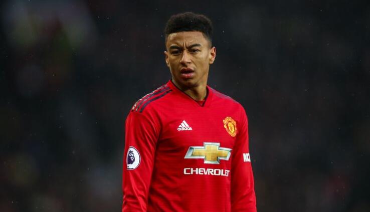 CNN主持人回应林加德：你的力量就像只绝育的贵宾犬