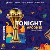 非洲杯夺冠赔率：埃及塞内加尔前二，加纳尼日利亚第三