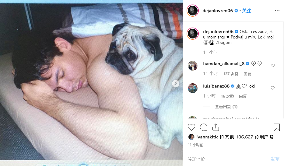 悲伤，洛夫伦Ins发文表达对去世宠物狗的怀念