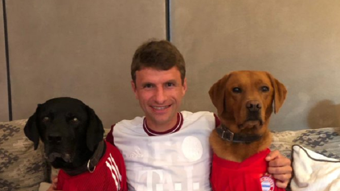 一图流：穆勒带着两只狗狗看比赛，狗狗穿着拜仁球衣
