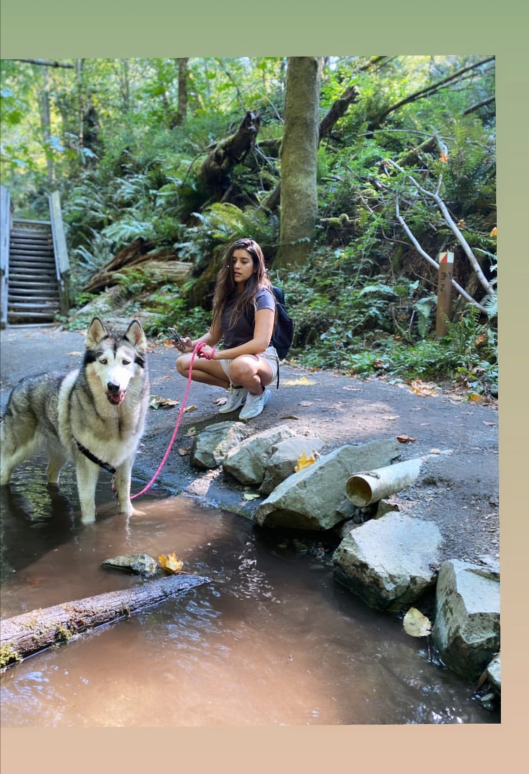好久不见！安佳丽更新Instagram晒多张自己与爱犬的合照